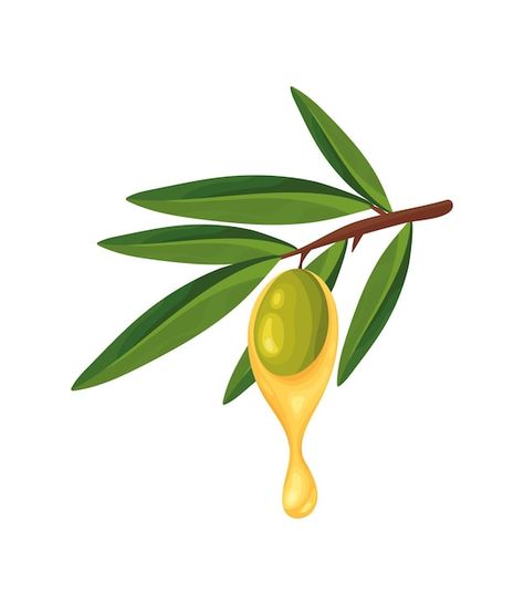 Free vector olive oil and seed icon isol... | Free Vector #Freepik #freevector #green #glass #natural #food Natural Food, Green Glass, Olive Oil, Graphic Resources, Vector Free, Seeds, Glass, Green, Quick Saves