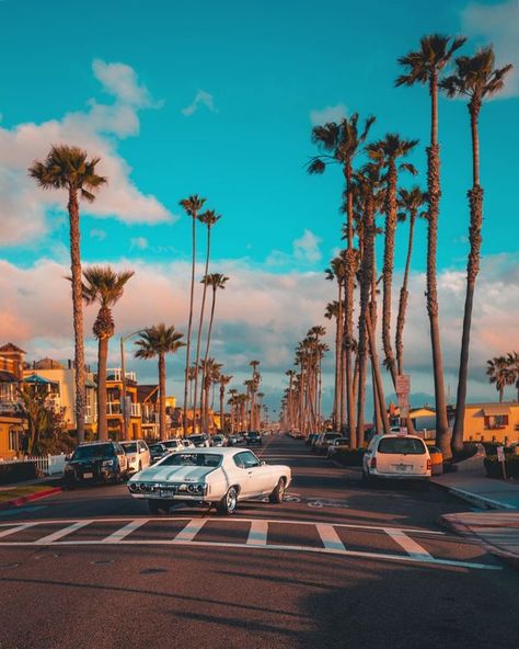 california palm trees #summer Socal Aesthetic, California Aesthetic, California Palm Trees, Palm Trees Wallpaper, Magic Places, Travel Wallpaper, Aesthetic Background, Aesthetic Blue, California Dreaming