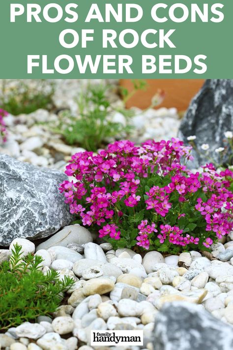 River Rock Flower Bed, Rock Flower Beds, Rock Planters, Landscaping Rock, River Rock Garden, Beginners Landscaping, Landscaping Around Trees, Front Flower Beds, Succulent Landscape Design