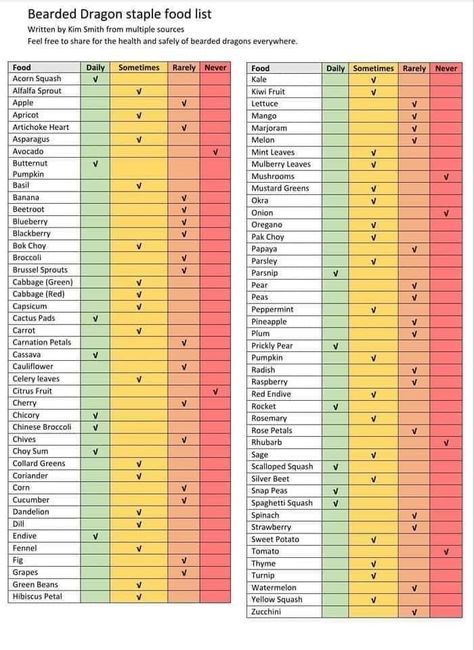 Bearded Dragon Fruits And Veggies List, Bearded Dragon Feeding Chart, Bearded Dragon Diet Chart, Bearded Dragon Care Sheet, Bearded Dragon Food List, Dragon Food, Bearded Dragon Food, Red Peas, Pak Choy