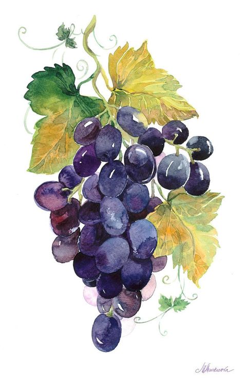 Screen Printing Illustration, Grape Painting, Watercolor Paintings For Beginners, Watercolor Fruit, Watercolor Projects, Watercolor Paintings Easy, Fruit Painting, Green Grapes, 수채화 그림