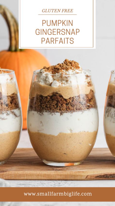 This easy recipe for gluten free pumpkin gingersnap parfaits is a perfect fall dessert! The recipe uses my gluten free gingersnap cookies, pumpkin spice mousse and homemade whipped cream. These parfait cups are perfect to make ahead of a gathering and serve cold from the refrigerator. Gingersnap Cookie Recipe, Fall Desserts Gluten Free, Gluten Free Pumpkin Desserts, Pumpkin Parfait, Ginger Snap Cookies Recipe, Spiced Whipped Cream, Gluten Free Thanksgiving Recipes, Gluten Free Pumpkin Pie, Gingersnap Cookies