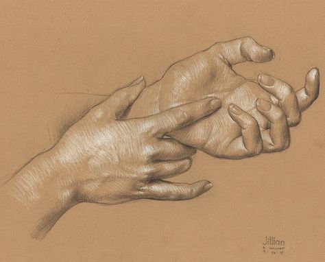 Study of Jillian's Hands 3B pencil and white Prismacolor pencil on Rives BFK Tan Heavyweight Printmaking Paper 11"x15"  #art #drawing #artmodel #artistmodel #lifedrawing #figuredrawing #figurativedrawing #pencildrawing #contemporaryart #postcontemporaryart #danielmaidman by danielmaidman Human Figure Drawing, Human Anatomy Art, Anatomy Sketches, Anatomy Drawing, Paper Drawing, Hand Art, Anatomy Art, Life Drawing, Art Drawings Sketches