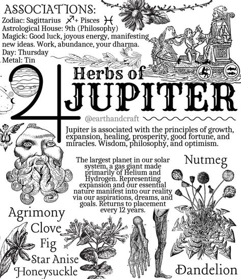 Earth & Craft Apothecary on Instagram: “Jupiter: The great benefic. The bringer of joy and joviality. Harbinger of luck and beneficence. Jupiter is the largest planet in our solar…” The Water Bearer, Earth Craft, Magickal Herbs, Trust Your Intuition, Dreams And Goals, Water Bearer, Pisces And Sagittarius, Wiccan Spell Book, Witch Spell Book