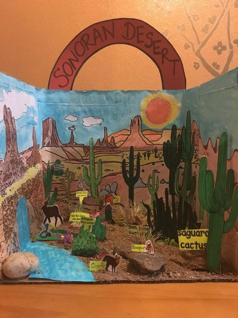 Sonoran Desert Diorama School Project Dolphin Diorama, Ecosystems Diorama, Biomes Project, Desert Diorama, Diorama Kids, Diarama Ideas, Ecosystems Projects, Mexican Gray Wolf, Desert Biome