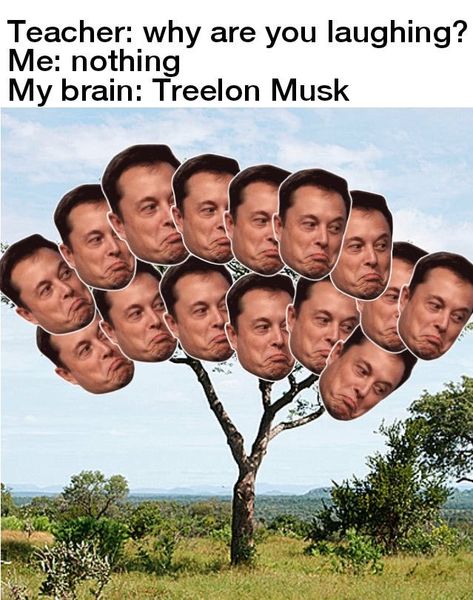 Melon Musk, Elon Reeve Musk, Why Are You Laughing, Elon Musk Tesla, Indian Meme, Youtube Memes, Bollywood Memes, School Memes, Elon Musk