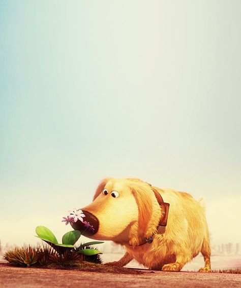 "My name is Dug. I have just met you and I love you." Beto Carrero World, Up Movie, Disney Challenge, Disney Pixar Up, Disney Up, Dug Up, Disney Dogs, Dream Dog, Up Dog