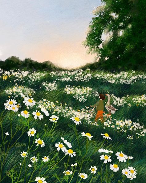 art | Chamomile Illustration, Daisy Garden, Daisy Field, Garden Drawing, Girly Art Illustrations, Nature Illustration, Painting Art Projects, Art Business, Illustration Artists