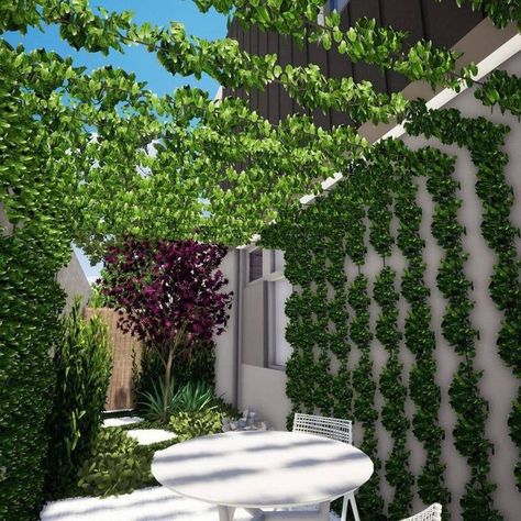 A stainless steel wire trellis covered in star jasmine vines is a great way to create some privacy and add a touch of greenery to your courtyard. Image credit: INSTAGRAM @TRISTAN_PEIRCE Star Jasmine Trellis, Overhead Decor, Star Jasmine Vine, Pool And Garden Design, Privacy Trellis, Wire Trellis, Small Courtyard, Tiny Balcony, Star Jasmine