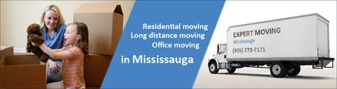 Movers Mississauga will help you to shift your place quickly. To hire the experts visit the mentioned link. League Of Legends Elo, Best Movers, Professional Movers, Moving Long Distance, Packing Services, Packers And Movers, Live In The Present, Moving Services, Moving Company