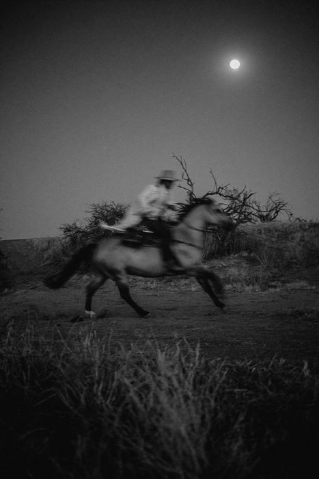 Cowboy Photography, Cowboy Aesthetic, Western Photography, Into The West, Western Wall Art, Cowgirl Aesthetic, Western Aesthetic, Southern Gothic, Cowboy Art