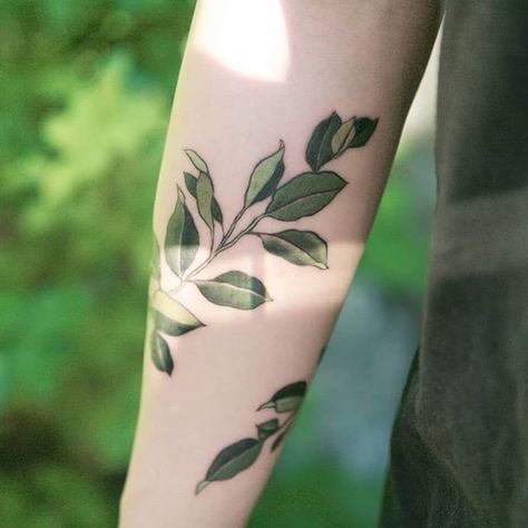 Arm Tattoo Leaves, Lisa Tattoo, Henne Tattoo, Green Tattoos, Tattoo Filler, Aesthetic Tattoos For Men, Omerta Tattoo, Back Of Shoulder Tattoo, Plant Tattoo