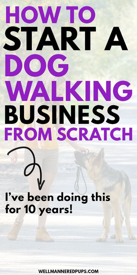 Dog Walking Flyer, Dog Sitting Business, Dog Daycare Business, Pet Care Business, Pet Sitting Business, Dog World, Dog Walking Services, Dog Walking Business, Dog German