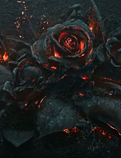 Fantasy | Magical | Fairytale | Surreal | Enchanting | Mystical | Myths | Legends | Stories | Dreams | Adventures | 천사와 악마, Art Noir, Trik Fotografi, Arte Fantasy, Gothic Art, Pics Art, A Rose, Black Rose, Dark Aesthetic