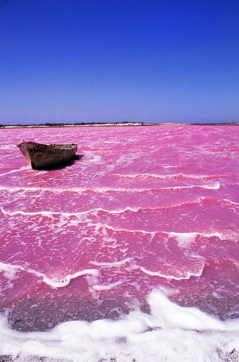 Lake Retba Senegal, Lake Retba, Senegal Dakar, Pink Photography, Pink Lake, Africa Destinations, Pink Beach, Amazing Pics, Natural Phenomena