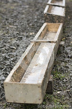 Feed Trough, Animal Eating, Wooden Trough, Raising Goats, Container Gardening, Goats, Stock Images, Wood, Animals