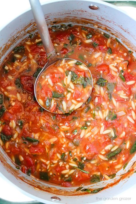 Tomato Orzo Soup with Spinach (Easy!) - The Garden Grazer Tomato Orzo Soup, Tomato Orzo, Garden Grazer, Recipe With Spinach, Soup With Spinach, Orzo Soup Recipes, Easy Vegan Lunch, Freeze Dryer, Orzo Soup