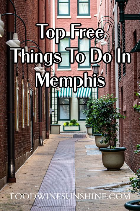 Top Free Things To Do In Memphis | If you are planning a family vacation or solo adventure to Memphis Tennessee, be sure to check out these top free things to do in Memphis. Save your money for all the delicious food! #memphis #travel #traveldestinations #travelonabudget #tennessee #tn What To Wear In Memphis Tn, Memphis Tennessee Things To Do, Things To Do In Memphis Tn, Memphis Vacation, Memphis Tennessee Vacation, Memphis Travel, Things To Do In Memphis, Southern Road Trips, Vacation 2024