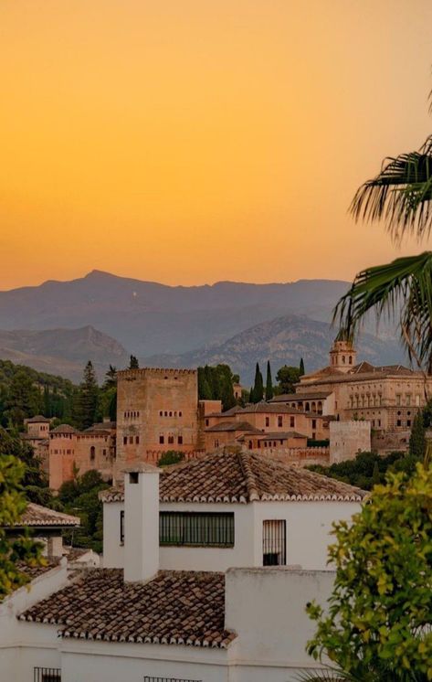 Granada Spain Aesthetic, Granada Aesthetic, Green House Plants, Spain Aesthetics, Spain Aesthetic, Granada Spain, Plants Nature, Sunset Aesthetic, Europe Summer