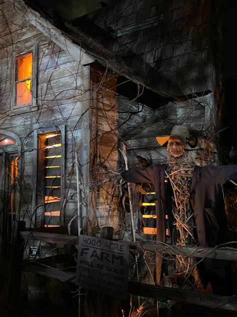 Haunted House Facade, Haunted House Entrance, Pumpkin Graveyard, Voodoo Swamp, Haunted Farm, Haunted Pumpkin Patch, Night Building, True Horror Stories, Pumpkin Patch Farm