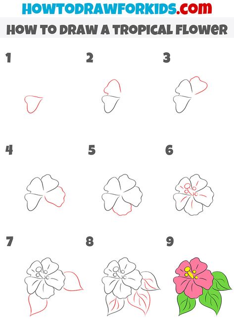 how to draw a tropical flower step by stepp Tropical Flower Doodle, Simple Tropical Drawings, Hibiscus Flower Drawing Tutorials, Hawaii Flower Painting Easy, Hibiscus Drawing Tutorial, How To Draw A Surfboard Step By Step, How To Draw Hawaiian Flowers Easy, Hawaiin Flowers Drawings, Tropical Flower Drawing Easy