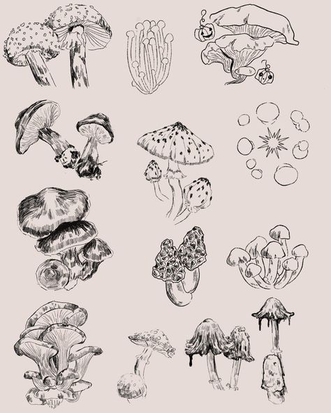 Mushroom Drawing Line Art, Black And Gray Mushroom Tattoo, Cottagecore Drawing Reference, Vintage Mushroom Tattoo, Line Work Mushroom Tattoo, Fineline Mushroom Tattoo, Mycology Tattoo, Fern Mushroom Tattoo, Ink Cap Mushroom Tattoo