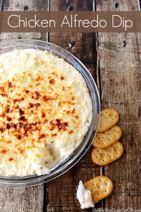 This dip is amazing! All the goodness of chicken alfredo but in dip form! You can dip in crackers, pita chips, toasted bread slices or eve... Chicken Alfredo Dip, Alfredo Dip, Alfredo Ravioli, Jar Alfredo Sauce, Sausage Queso, Chicken Potstickers, Restaurant White, Savory Dips, Chips Dip