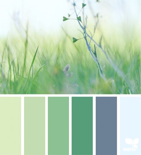 Color Nature Design Seeds Color Palette, Seeds Color Palette, Design Seed, Seeds Color, Color Pallete, Color Schemes Colour Palettes, Hue Color, Sea Design, Design Seeds