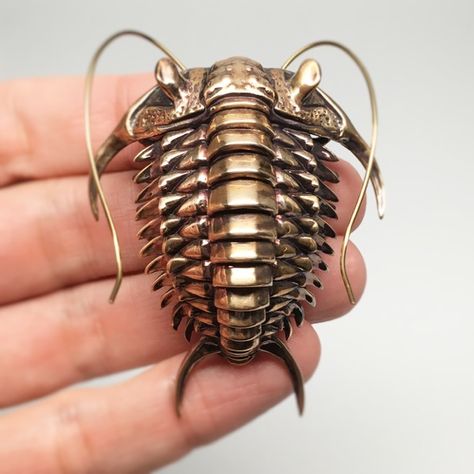 Alas, the humble trilobite will probably never star in its own Saturday morning cartoon or make it into next year's lineup of Beanie Babies, mostly because it i 3d Cnc, 3d Printing Ideas, Insect Art, Charles Darwin, Gothic Steampunk, Beetles, Bronze Sculpture, Metal Sculpture, Steam Punk