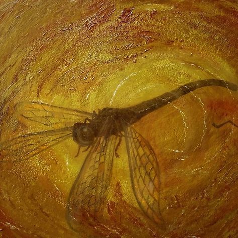 Dragonfly in Amber An ill fated dragonfly forever trapped and preserved in fossilised tree resin.. #dragonfly #dragonflies #amber #myart #artwork #art #fossil  Acrylics and impasto. Resin Dragonfly, Dragonfly Painting, Watercolour Ideas, Dragonfly In Amber, Amber Resin, Dragonfly Art, Round Beach Towels, Art Archive, Featured Art