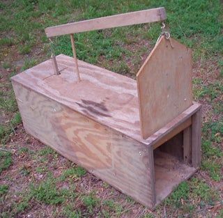 Skunk Trap, Rabbit Traps, Diy Crafts Easy At Home, Survival Skills Emergency Preparedness, Animal Traps, Rat Traps, Trash Containers, Survival Skills Life Hacks, Mouse Trap