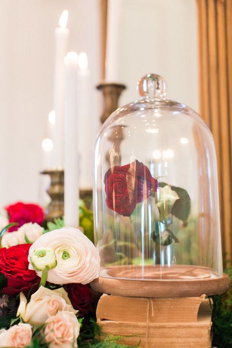 Belle And The Beast, Wedding Locations California, Beast Movie, Bell Jars, The Beast Movie, Beauty And The Beast Movie, The Beauty And The Beast, Fall Wedding Inspiration, Dance Themes