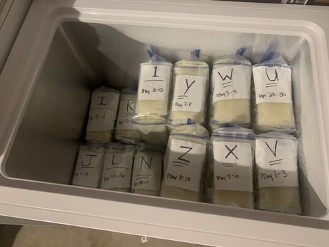 Here i have 10 -6oz bags of breastmilk in a gallon(large) freezer bad. Using 6oz makes the large bag solid fir stacking purpose. Pumping Storage, Nursing Ideas, Mother Life, Exclusive Pumping, Breast Milk Storage, Exclusively Pumping, Breastmilk Storage, Milk Storage, Baby Facts