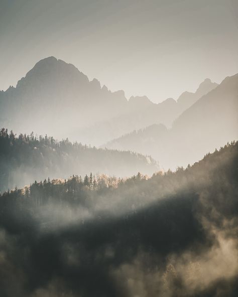 Mist rising Misty Mountains Aesthetic, Mist Aesthetic, Rainbow Drawing, Mountains Aesthetic, Arctic Tundra, Enchanted Island, Misty Mountain, Tøp Aesthetic, Morning Mist