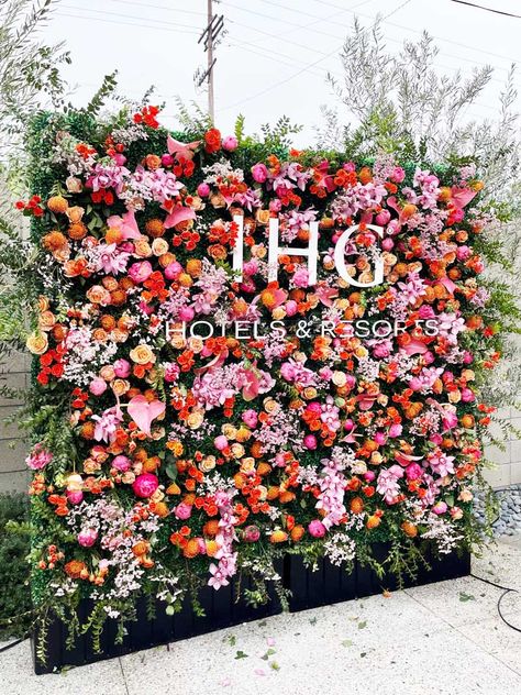 Flower Hedge Wall, Boxwood Room Divider, Branded Flower Wall, Hedge Wall Diy, Boxwood Wall With Flowers, Real Flower Wall, Hedge Wall With Flowers, Boxwood Wall Bedroom, Outdoor Selfie Wall