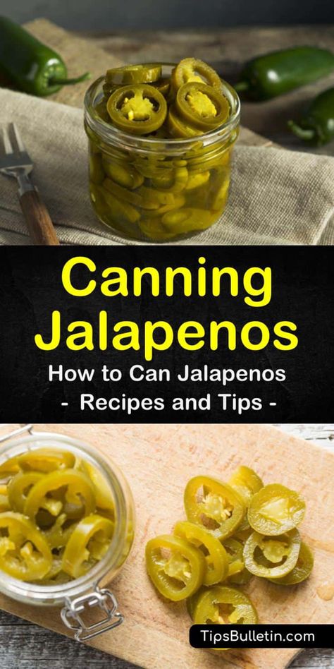 Pickled Jalapenos Recipe Canning, Can Jalapenos, Canning Jalapenos, Pickled Jalapenos Recipe, Canning Jalapeno Peppers, Canning Peppers, Garden Canning, Canned Jalapenos, Canning Salt