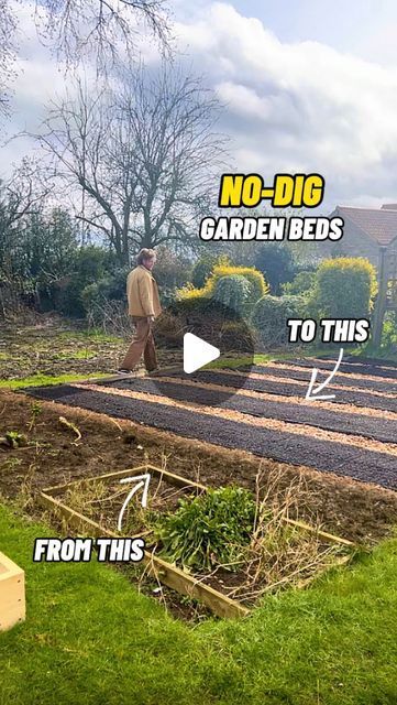 Jamie Walton | Nettles & Petals on Instagram: "Creating NO-DIG Growing beds 🌱

I’m in the process of converting an old unkept allotment into an organic no-dig vegetable garden and it’s finally time to create the main growing beds! And of course they are all going to be created utilising the ‘no-dig’ or ‘minimal disturbance’ methodology. 

This old allotment space had been dug over year after year and the soil has sunk and degraded overtime. But by mulching instead of digging or tilling, we can mimic natural processes and start to rebuild that soil structure and allow the myriad of life within to thrive whilst creating a symbiotic relationship with the plants we then grow, increasing yields and boosting biodiversity. There’s also far less weeds and effort once they are made! 😊🙌🏻

I main No Till Vegetable Garden, No Dig Garden, Dig Gardens, Growing Veggies, Symbiotic Relationships, School Garden, Growing Food, Edible Garden, Permaculture