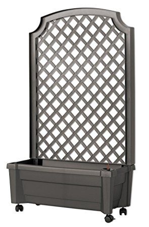 Exaco 1.416 GREY Calypso Planter with Trellis and Self Watering System, Metallic Grey Planter With Trellis, Planter Trellis, Unique Planter, Plastic Planters, Water Reservoir, Self Watering Planter, Climbing Plants, Self Watering, Water Systems