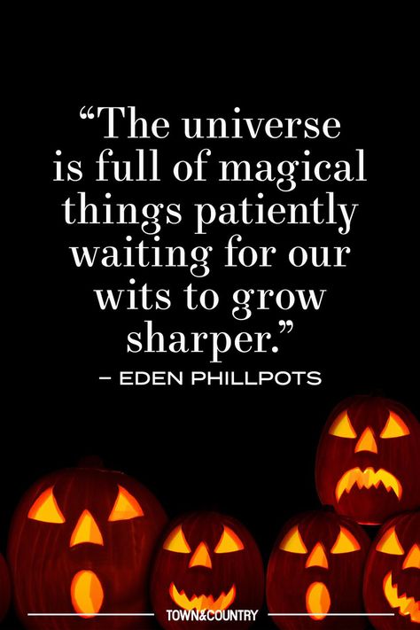 Allow our favorite festive sayings put you in the spooky season spirit. #halloween #halloweenquotes #halloweensayings #happyhalloween #spookyseason #spookyszn #quotes #veryTandC Spooky Season Quotes, Scary Movie Quotes, Infidelity Quotes, Best Dog Quotes, Fairytale Quotes, Spooky Words, Halloween Captions, Happy Halloween Quotes, Destiny Quotes