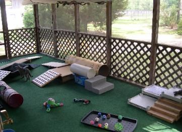 Puppy Playroom, Puppy Culture, Raising Puppies, Dog Agility Course Diy, Dogs Room, Puppy Playground, Dog Agility Course, Kennel Ideas, Puppy Room