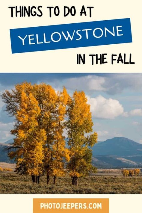 Must-Read Tips for Visiting Yellowstone in the Fall - PhotoJeepers Yellowstone Vacation, Lamar Valley, Visit Yellowstone, Bear Spray, Old Faithful, Ancient Forest, Sequoia National Park, National Parks Trip, Acadia National Park