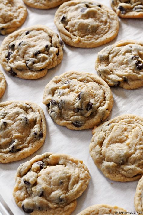 Awesome Cookies, Chocolate Chip Pudding, Peach Dessert, Chocolate Chip Pudding Cookies, Best Chocolate Chip Cookies, Best Chocolate Chip, Soft Chocolate Chip Cookies, Easy Chocolate Chip Cookies, Pudding Cookies