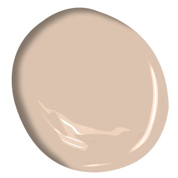 Benjamin Moore boudoir, matched to farrow and ball setting plaster Frau Blucher, Benjamin Moore Beige, Tina Moore, Front Door Color Ideas, Benjamin Moore Bathroom, Benjamin Moore Bedroom, Door Color Ideas, Paint Benjamin Moore, Paint Magic