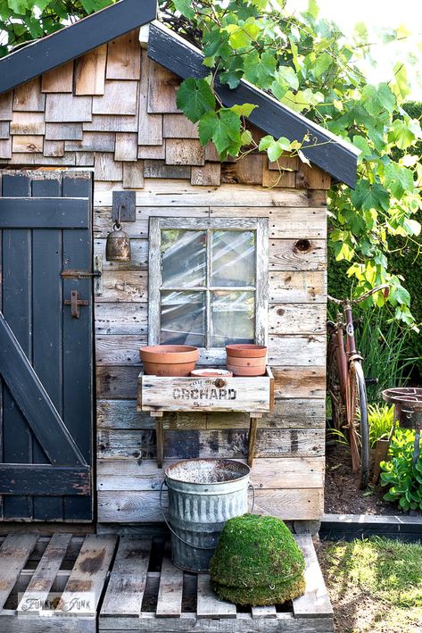 Diy Pallet Shed, Shed Porch, Shed Exterior Ideas, Rustic Shed, Shed With Porch, Pallet Shed, Greenhouse Shed, Funky Junk Interiors, Casa Country