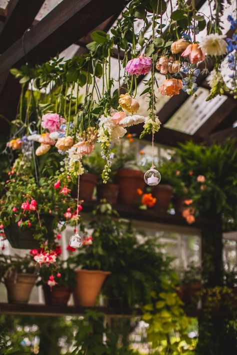 Greenhouse Cottage, Tiny Wedding Venues, Wedding Venue Virginia, Wedding Greenhouse, Vaughan House, Intimate Wedding Venue, Chair Photography, Lynchburg Virginia, Smallest Wedding Venue