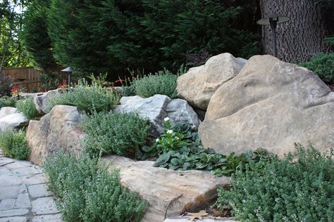 Pool 5  Boulder wall with lemon-scented thyme Boulder Garden, Mailbox Landscaping, River Rock Landscaping, Natural Landscaping, Backyard Garden Layout, Landscaping With Boulders, Garden Waterfall, Traditional Landscape, Landscaping With Rocks