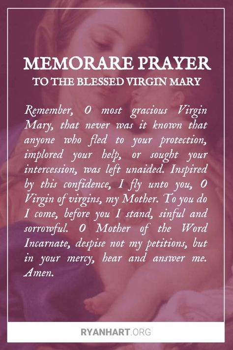 The Memorare Prayer, Memorare Prayer Virgin Mary, Marian Prayers, Memorare Prayer, The Memorare, Fireman's Prayer, Prayer Of Thanks, Novena Prayers, The Blessed Virgin Mary