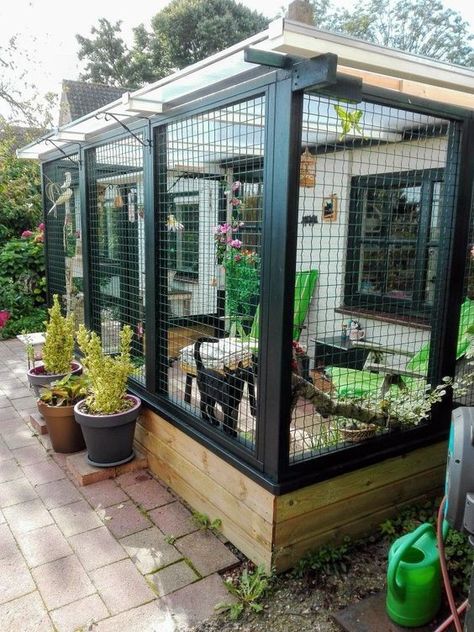 a cozy and chic cat enclosure with potted blooms and greenery, trees, outdoor furniture for a cat to enjoy Turn Shower Into Tub, Enclosed Deck, Communicable Diseases, Katt Diy, Cat Enclosures, Balkon Decor, Cat Patio, Outdoor Cat Enclosure, Outdoor Cat House