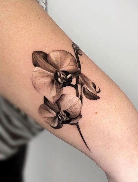 If you're thinking about getting your first ink, these Orchid Tattoo Meaning and Ideas will surely inspire you! Black Orchid Tattoo, Orchid Tattoo Meaning, Small House Garden, Companion Planting Vegetables, Orchid Tattoo, Herb Containers, Herb Garden Design, Vertical Garden Diy, Culinary Herbs