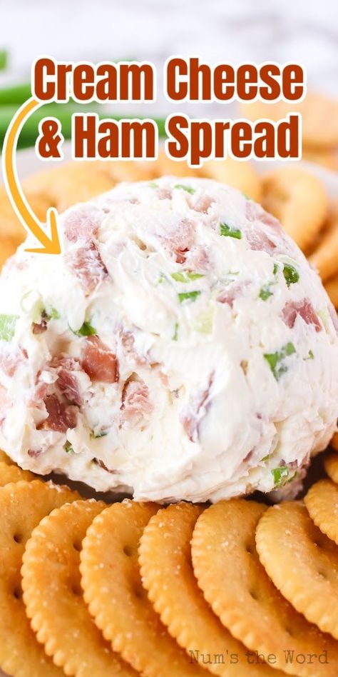 Appetizers With Leftover Ham, Diced Ham Appetizers, Deep Fried Ham And Cheese Balls, Ham And Cheese Balls Recipe, Deviled Ham Dip With Cream Cheese, Deviled Ham Cream Cheese Ball, Country Ham Cheese Ball, Ham And Onion Cheeseball, Ham Finger Food